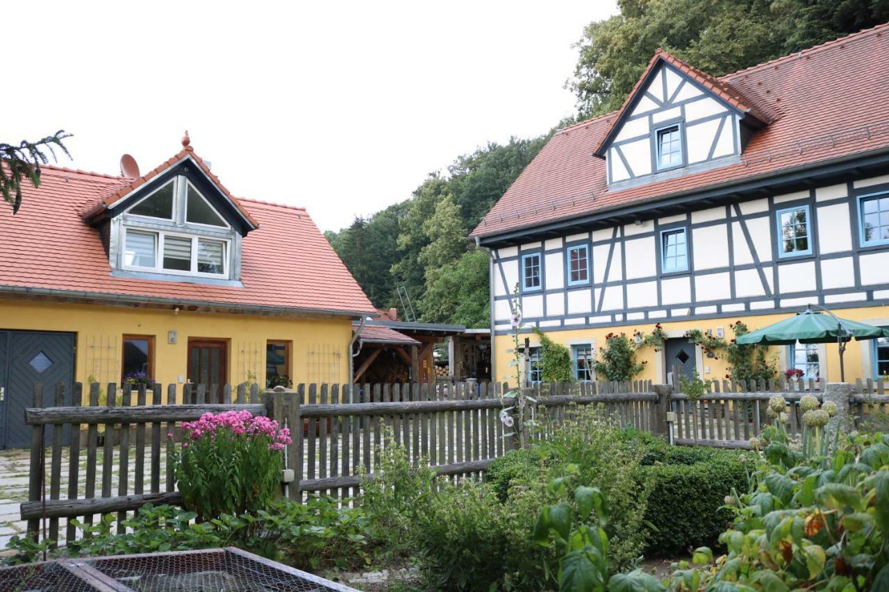 "Ferienwohnung Am Tharandter Wald" Grund Екстериор снимка